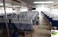 ક્રૂઝ જહાજ વેચાણ માટે