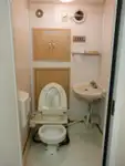 પેટ્રોલ બોટ વેચાણ માટે