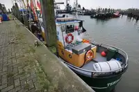 ટ્રોલર વેચાણ માટે