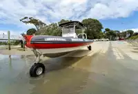 એમ્ફિબિયસ વેચાણ માટે