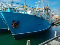 Trawler વેચાણ માટે