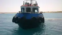 વર્ક બોટ વેચાણ માટે