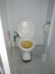 લોંગલાઇનર વેચાણ માટે
