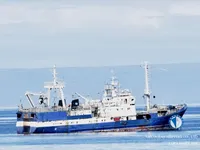 ટ્રોલર વેચાણ માટે