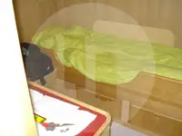 ટ્રોલર વેચાણ માટે