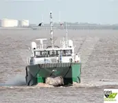 વિન્ડ ફાર્મ સર્વિસ જહાજ વેચાણ માટે
