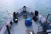 General Cargo/Multi-purpose વેચાણ માટે