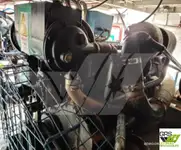 વિન્ડ ફાર્મ સર્વિસ જહાજ વેચાણ માટે