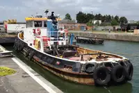 ટોબોટ વેચાણ માટે