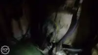 ટ્રોલર વેચાણ માટે