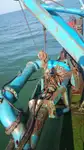 ડ્રેજર વેચાણ માટે