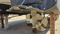 કેટામરાન વેચાણ માટે