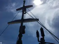 ટોબોટ વેચાણ માટે