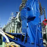 Purse seiner વેચાણ માટે