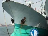 લોંગલાઇનર વેચાણ માટે
