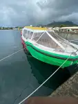 ફેરી જહાજ વેચાણ માટે