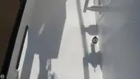 ટ્રોલર વેચાણ માટે