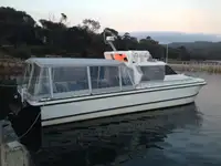 કેટામરન વેચાણ માટે