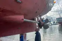 ફેરી જહાજ વેચાણ માટે