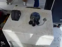 ટ્રોલર વેચાણ માટે