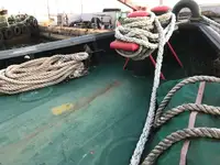 ટોબોટ વેચાણ માટે
