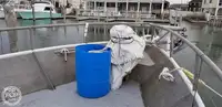 ટ્રોલર વેચાણ માટે