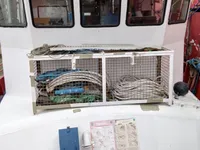 સર્વે જહાજ વેચાણ માટે