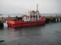 ટોબોટ વેચાણ માટે