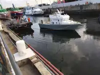 પાયલોટ બોટ વેચાણ માટે