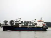 બલ્ક કેરિયર વેચાણ માટે