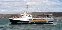Purse seiner વેચાણ માટે