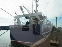 ટ્રોલર વેચાણ માટે