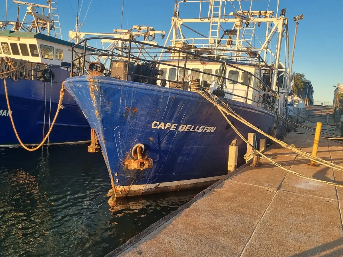ટ્રોલર વેચાણ માટે