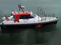 પાયલોટ બોટ વેચાણ માટે