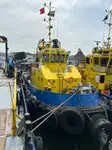 ટોબોટ વેચાણ માટે