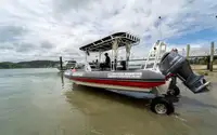 એમ્ફિબિયસ વેચાણ માટે