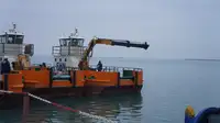 ટોબોટ વેચાણ માટે