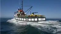 Trawler વેચાણ માટે