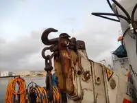 વર્ક બોટ વેચાણ માટે