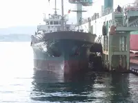 બલ્ક કેરિયર વેચાણ માટે