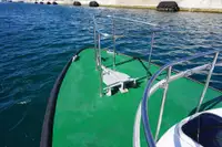 પાયલોટ બોટ વેચાણ માટે