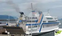 Ro-Ro ship વેચાણ માટે