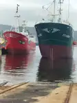 ટ્રોલર વેચાણ માટે