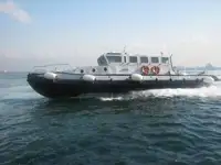 ટોવબોટ વેચાણ માટે