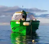 ફેરી જહાજ વેચાણ માટે