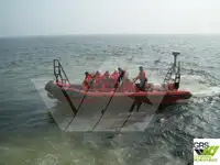 કઠોર ઇન્ફ્લેટેબલ બોટ વેચાણ માટે