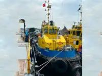 ટોવબોટ વેચાણ માટે
