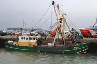 Trawler વેચાણ માટે