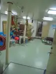પેટ્રોલ બોટ વેચાણ માટે