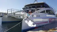 પેસેન્જર જહાજ વેચાણ માટે